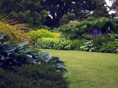 Montgomery landscaping